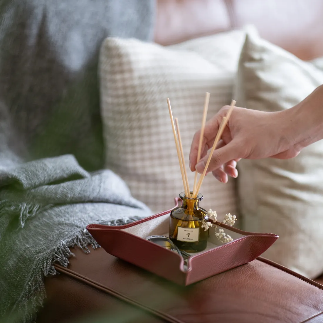 Arranging reed sticks in a Pristine diffuser